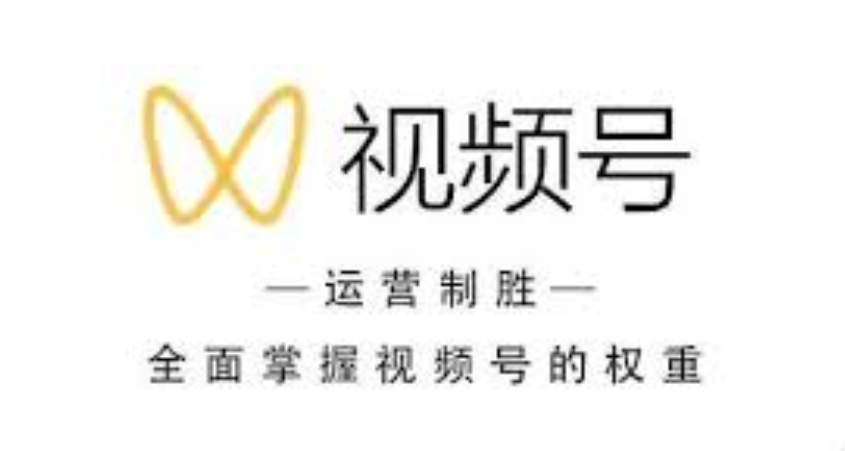 视频号运营秘籍：从新手到高手的进阶之路